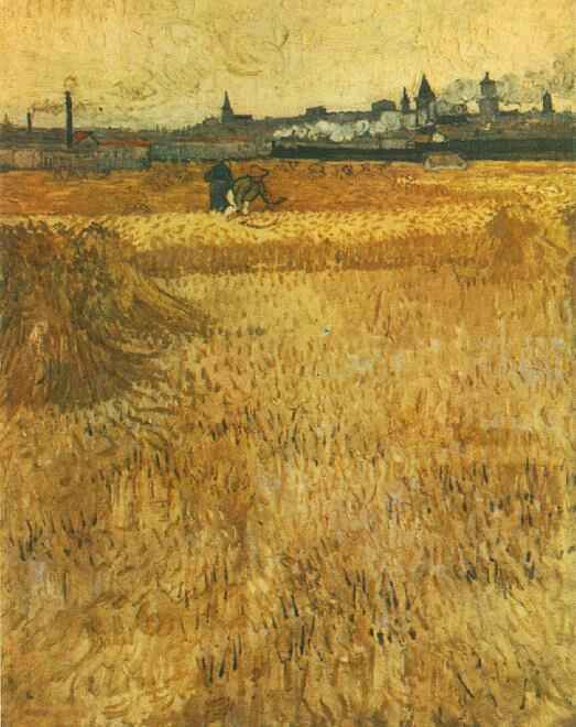 van Gogh, campo